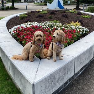 Meet your Posher, Kay